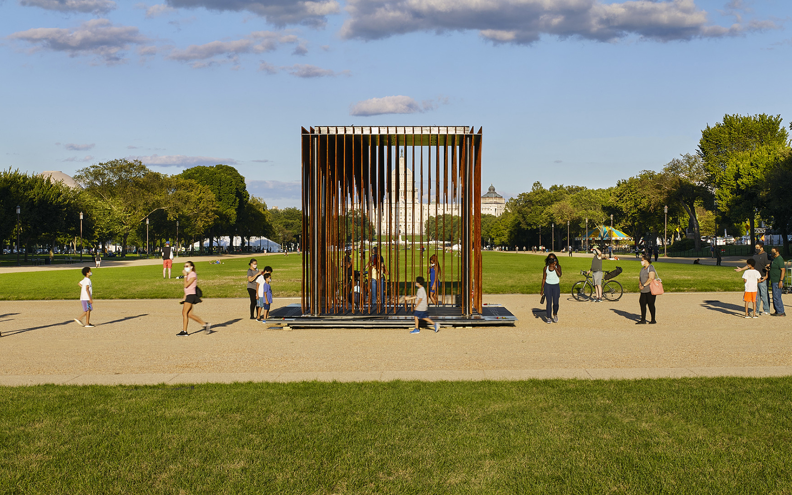 Society's Cage Installation Capitol Building