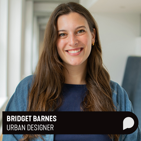 Bridget Barnes Design Digest Title Card