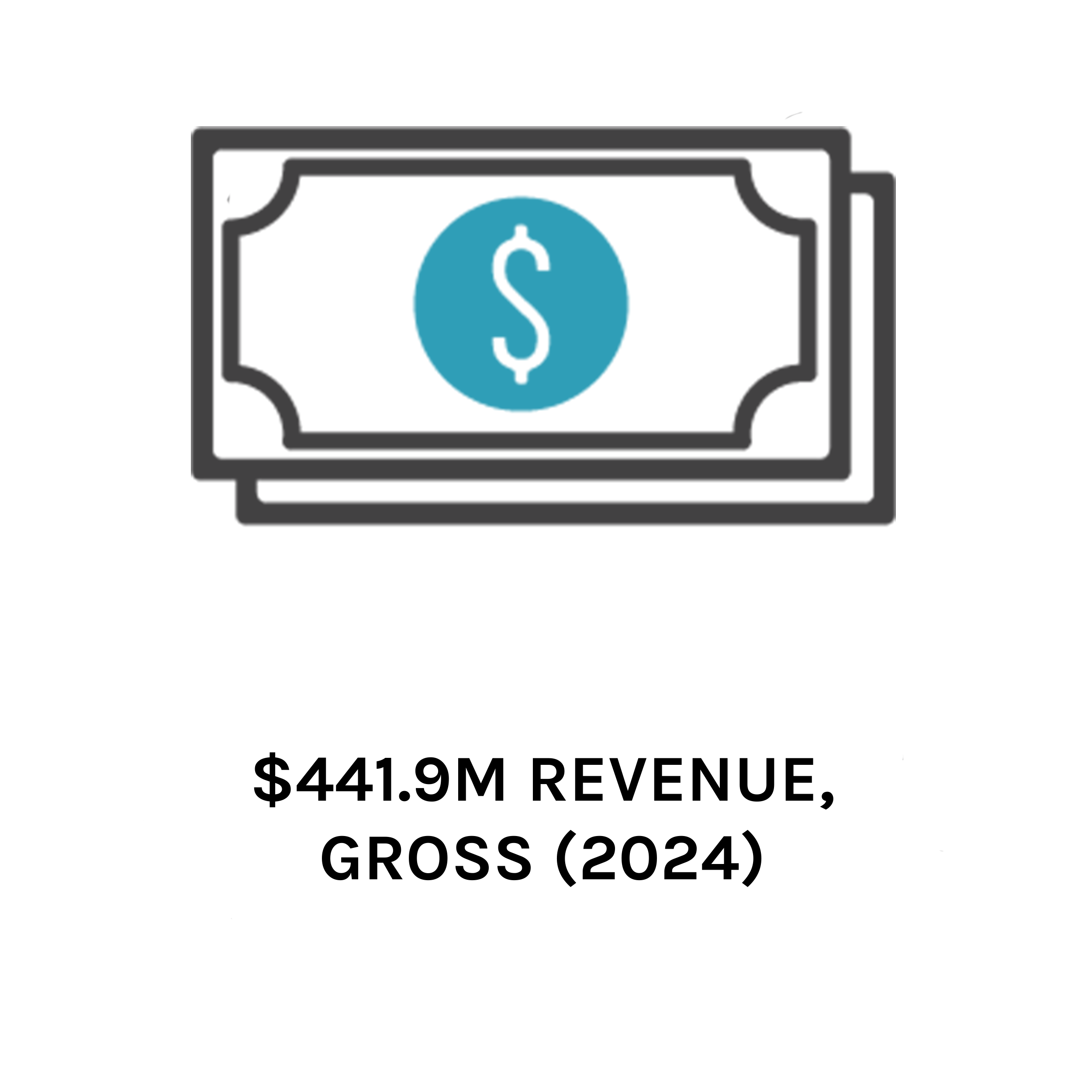 2024 Revenue Icon
