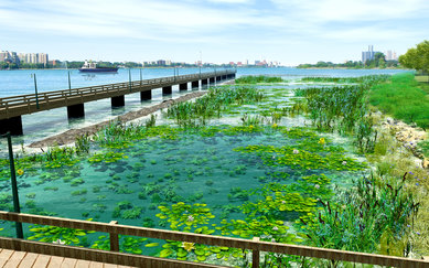 Blue Heron Lagoon SmithGroup