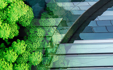 Climate Impact Key Image for About US