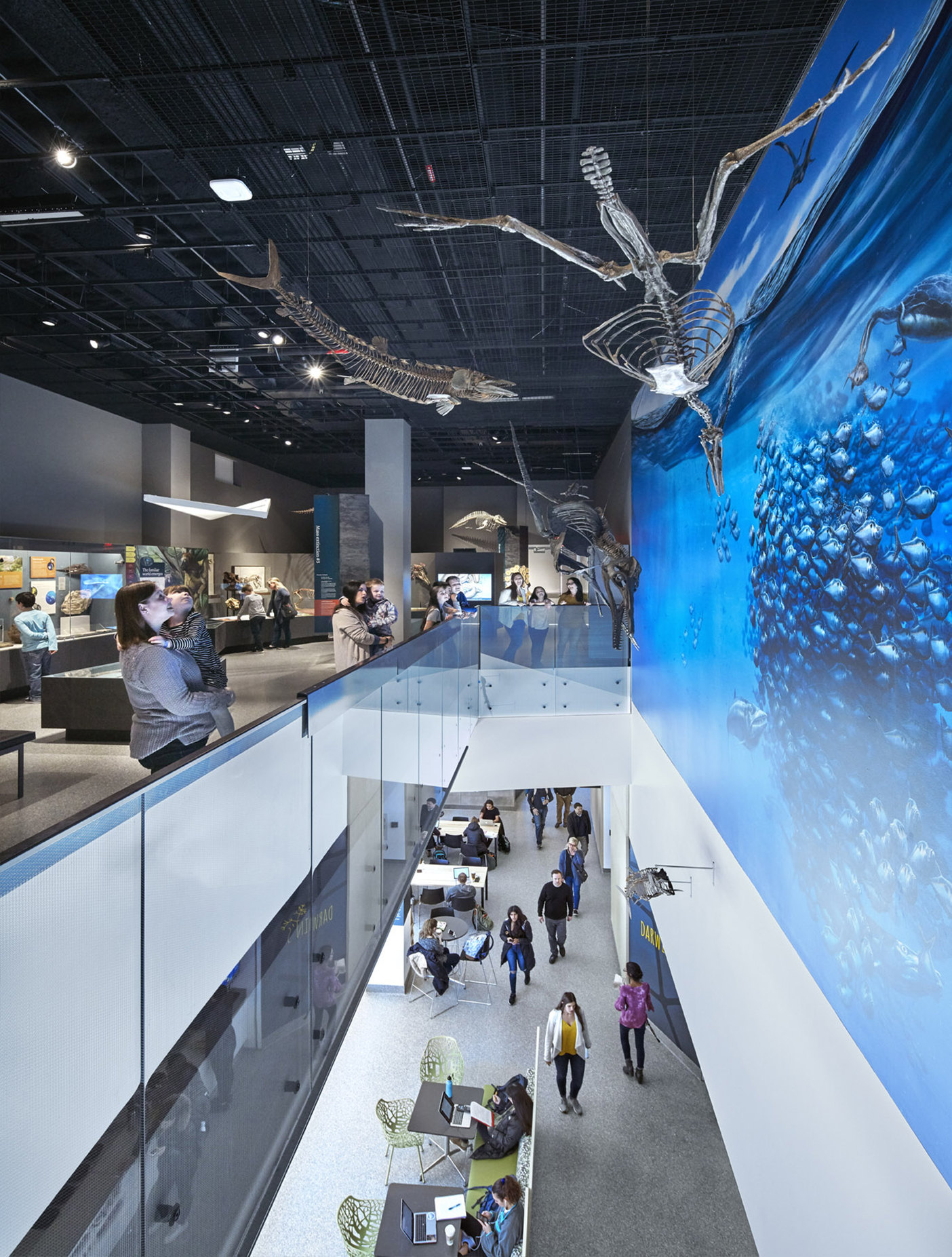 UM Biological Sciences Building and Museum of Natural History