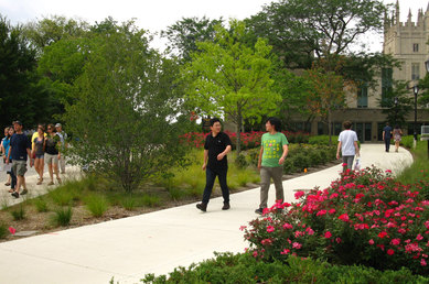 Northwestern University’s Mid-Campus Green