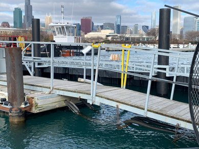 Chicago Harbor