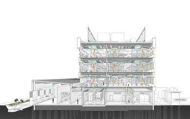 Climate Action SmithGroup Sustainable Design Integration