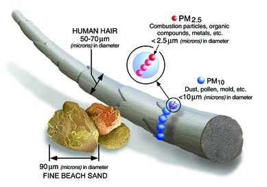 Size of PM2.5 particle compared to sand grain and human hair
