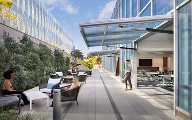 Muse Torrey Pine Rendering