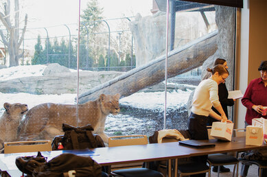 Photograph of a gathering of ecological experts at the Lincoln Park Zoo, with two lions looking in from the conference room window