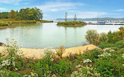 Caesar Creek Marina