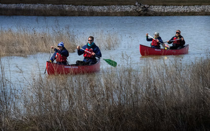 howard marsh metropark