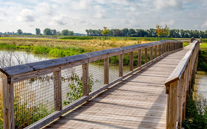 Howard Marsh Metropark Bridge Platform Ohio Toledo