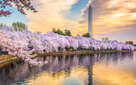 Jim Shepherd Washington DC Historic Preservation